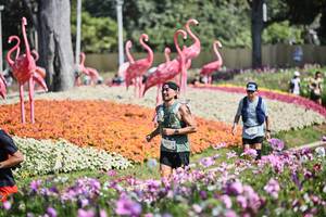 BIB: 
                            <button type="button" onclick="openModal(27794309)" class="btn btn-primary btn-sm float-right btn-popup" data-toggle="modal" data-target=".modal-high-quality">
                        <i class="fas fa-shopping-cart"></i> Add to Cart
                    </button>
                                            <button type="button" onclick="isThisMe(27794309, true)" class="btn btn-success btn-sm float-right btn-popup btn-isme hidden" data-toggle="tooltip" data-placement="bottom" title="นี่คือรูปของคุณใช่ไหม คลิกที่นี่เพื่อเอาเข้าอัลบั้ม">
                        <i class="fas fa-plus"></i> Add to album
                    </button>
                    <button type="button" onclick="isThisMe(27794309, false)" class="btn btn-warning btn-sm float-right btn-popup btn-isnotme hidden">
                        <i class="fas fa-ban"></i> Remove from album
                    </button>